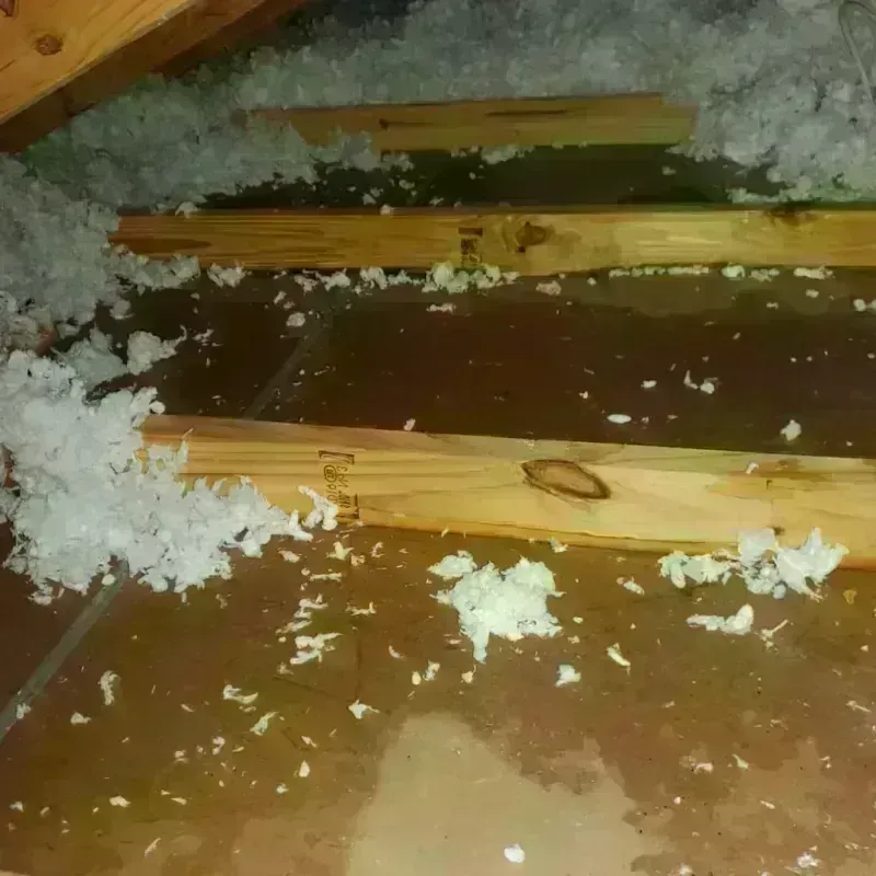 Attic Water Damage in Oklahoma City, OK