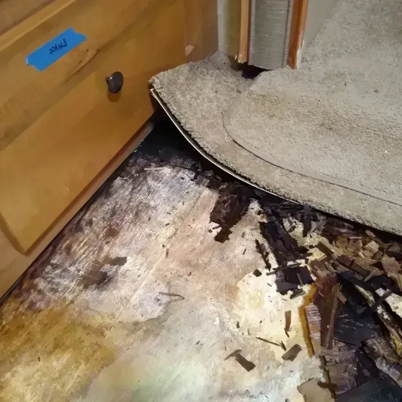 Wood Floor Water Damage in Oklahoma City, OK